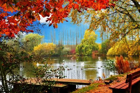 Autumn landscape. Stock Photos