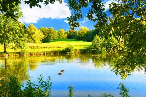 Autumn landscape. Stock Photos