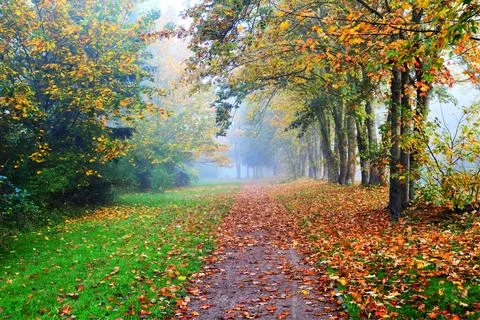 Autumn landscape. Stock Photos
