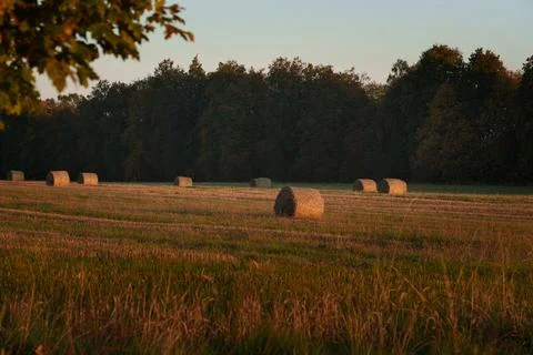 Autumn landscape Photos