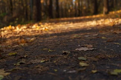 Autumn landscape Stock-Fotos