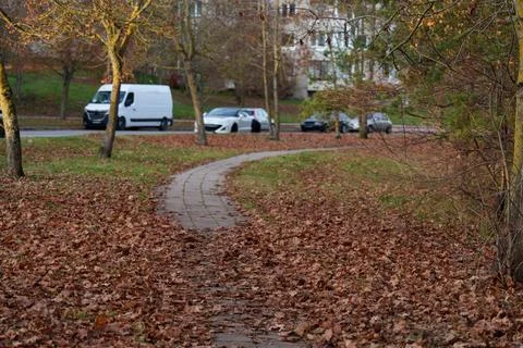 Autumn landscape Stock-Fotos