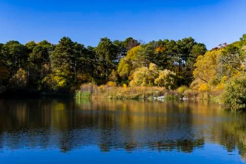 Autumn landscape reflection Stock Photos
