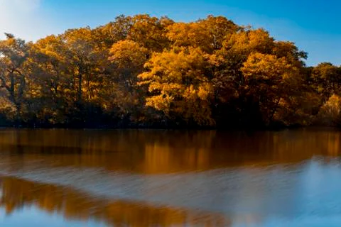 Autumn landscape reflection Stock Photos