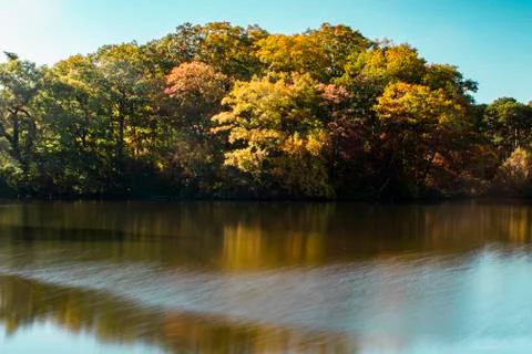 Autumn landscape reflection Stock Photos