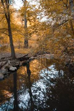 Autumn landscape reflection Stock Photos