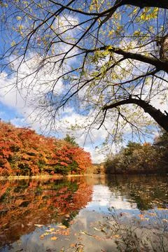 Autumn Landscape Reflection Stock Photos
