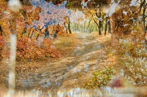 Autumn landscape with reflection Stock Photos