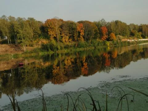Autumn landscape with reflection of trees in the river Stock Photos