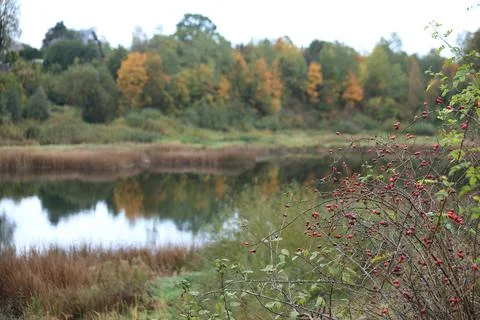 Autumn Landscape with river and reflection, Kuldiga, Latia. Stock Photos