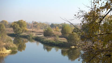 Autumn landscape with river Видео 98305247