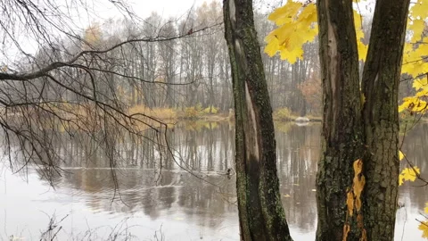 Autumn landscape by the river Stock Footage 325238203