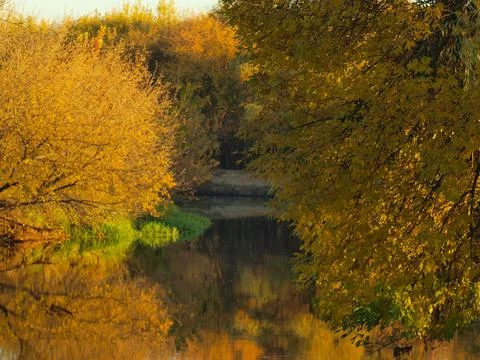 Autumn landscape on the river. Leaf fall. Foto stock