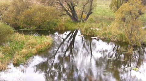 Autumn landscape at river source. 動画素材 270286