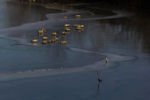 Autumn landscape, on the river a thin pattern of ice, blue sky, sunny day Foto stock