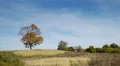 Autumn landscape with rural wooden house HD Footage