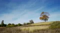 Autumn landscape with rural wooden house 4k or 4k+ Resolution