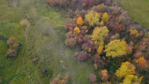 Autumn landscape shot from above Stock Footage 235779727