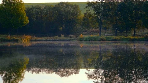 Autumn landscape with single empty bench Stock Footage 95892574