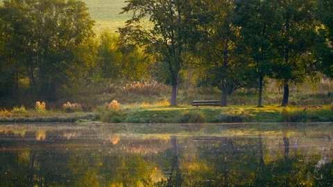 Autumn landscape with single empty bench Stock Footage 95892765
