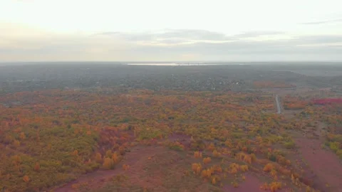 Autumn Landscape Suburb Stock Footage 163456892