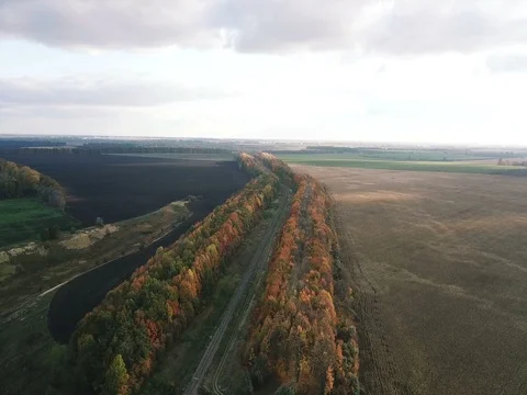 Autumn landscape at sunset Stock Footage 81398300