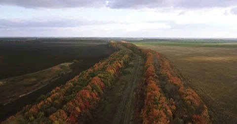 Autumn landscape at sunset Stock Footage 81400311