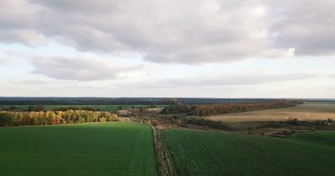 Autumn landscape at sunset Stock Footage 81418690