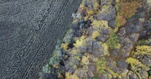 Autumn landscape at sunset Stock Footage 81420023