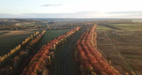 Autumn landscape at sunset Stock Footage 81438988