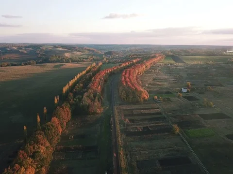 Autumn landscape at sunset Stock Footage 81457551