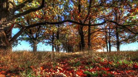 Autumn Landscape Timelapse 2 Stock Footage 32163943