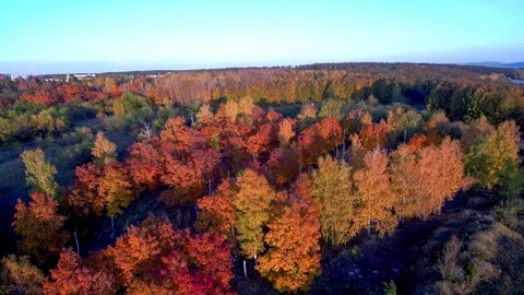 Autumn landscape top view. Stock Footage 81726012