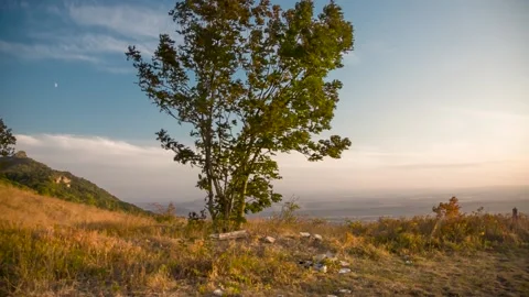 Autumn landscape with a tree on the slope Stock Footage 149154064