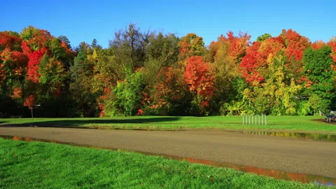 Autumn Landscape With Trees In County Park Stock Footage 135429088