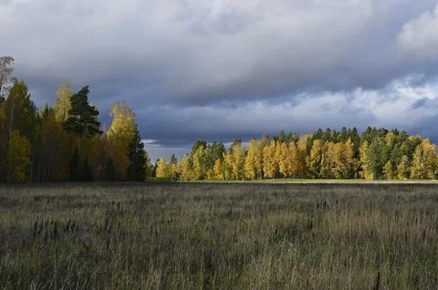 An autumn landscape under a dramatic sky Stock Photos