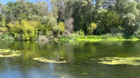 Autumn landscape with a view of the river. Stock Footage 287093025