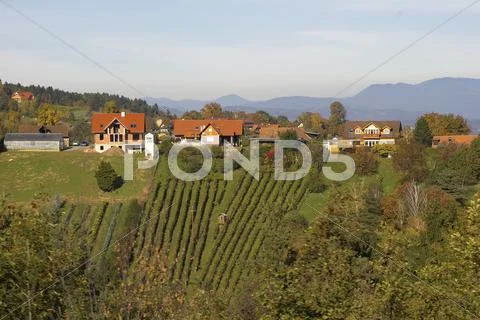Autumn landscape vineyard schilcher weinstrafle Stock Photos