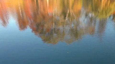 Autumn Landscape Willow Trees Reflection at Sunset Motion Background Stock Footage 82302947