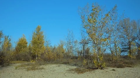 Autumn landscape3 Stock Footage 119580460