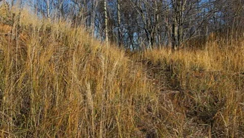 Autumn landscape,hill. Video stock 8988037