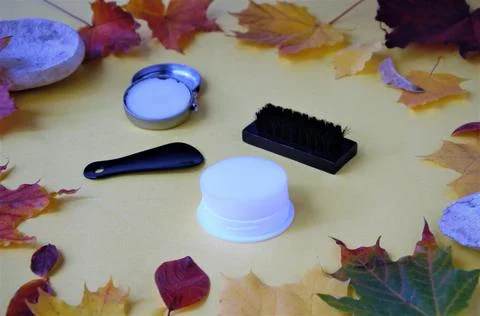 Autumn layout of shoe cleaning items, brush, wax and sponge in colored leaves on Stock Photos
