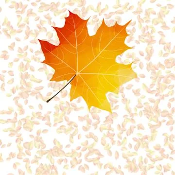 Autumn leaf abstract backgrounds. plus EPS10 Illustrazione stock