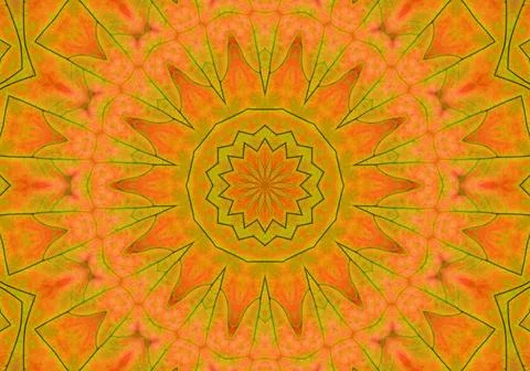 Autumn leaf abstract pattern Background with abstract geometric pattern fr... Stock Photos