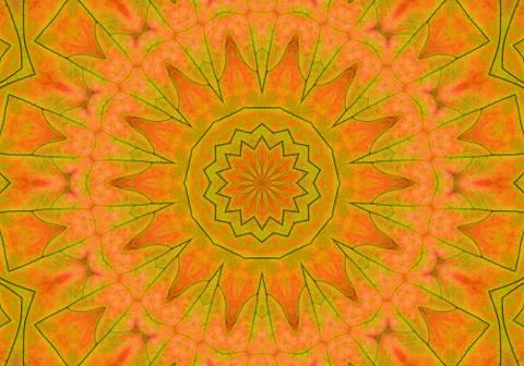 Autumn leaf abstract pattern Stock Illustration