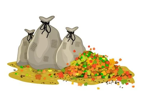 Autumn leaf and full sacks with leaves isolated on white background. Autumn. Stock Illustration