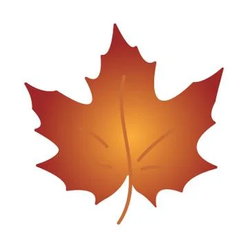 Autumn leaf. Autumn maple leaf isolated on a white background. Stock Illustration