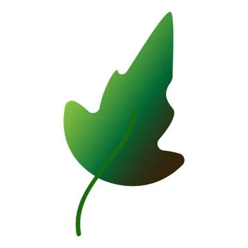 Autumn leaf. Autumn maple leaf isolated on a white background. Illustrazione stock