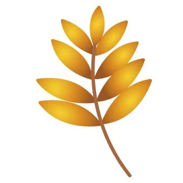 Autumn leaf. Autumn maple leaf isolated on a white background. Illustrazione stock
