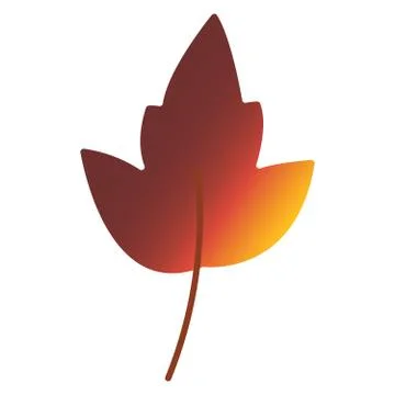Autumn leaf. Autumn maple leaf isolated on a white background. Stock Illustration